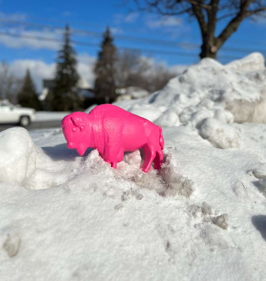 洋書　BUFFALO PINK Pink Buffalo — Breast Cancer Network of WNY